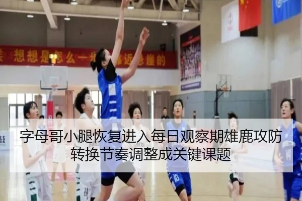 字母哥小腿恢复进入每日观察期雄鹿攻防转换节奏调整成关键课题